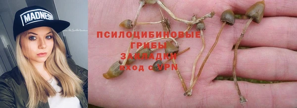 a pvp Армянск