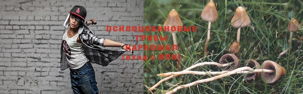 a pvp Армянск